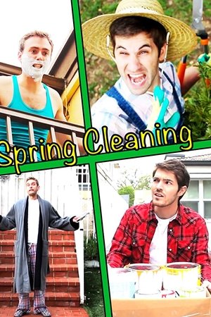 Spring Cleaning Spring Cleaning