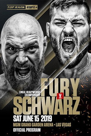 Fury vs. Schwarz Fury vs. Schwarz