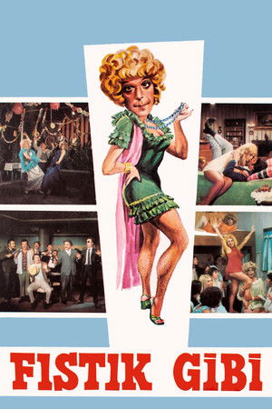 Fıstık Gibi Fıstık Gibi