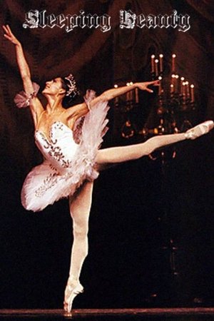 Sleeping Beauty Sleeping Beauty