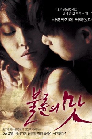 The Taste of an Affair The Taste of an Affair