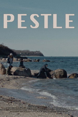 Pestle Pestle