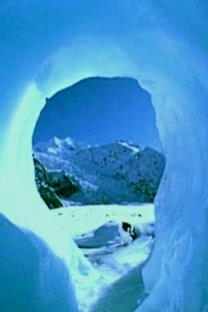 The Water Cycle The Water Cycle