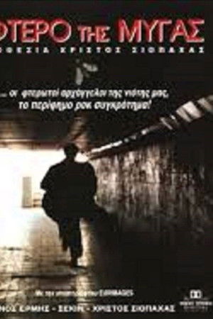 The Wing of the Fly The Wing of the Fly