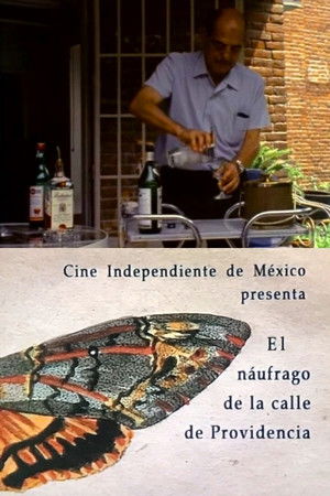 The Castaway on the Street of Providence The Castaway on the Street of Providence