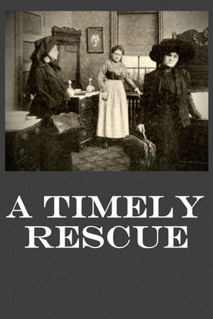 A Timely Rescue A Timely Rescue