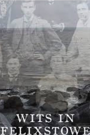 Wits in Felixstowe Wits in Felixstowe