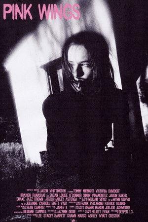 Pink Wings Pink Wings