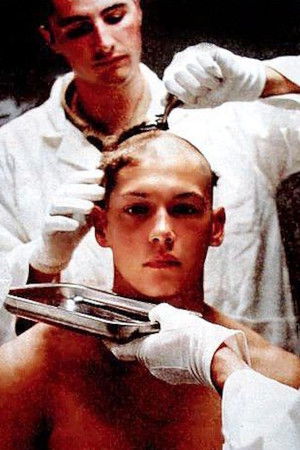 Vive la bombe ! Vive la bombe !