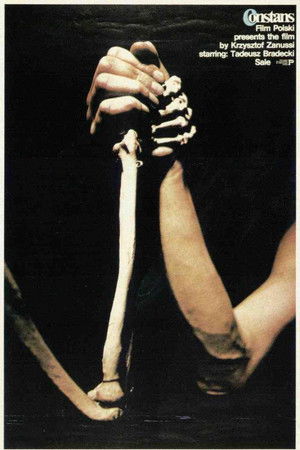 The Constant Factor The Constant Factor