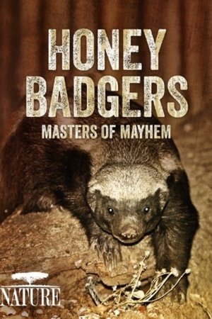 Honey Badgers: Masters of Mayhem Honey Badgers: Masters of Mayhem