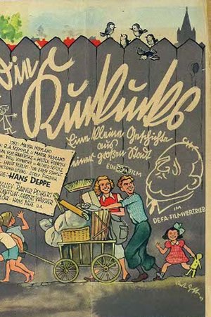 The Cuckoos The Cuckoos