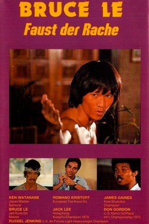 Bruce's Fists Of Vengeance Bruce's Fists Of Vengeance