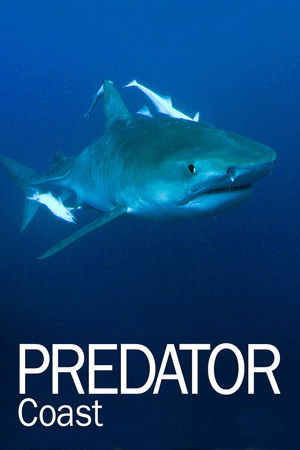 Predator Coast Predator Coast