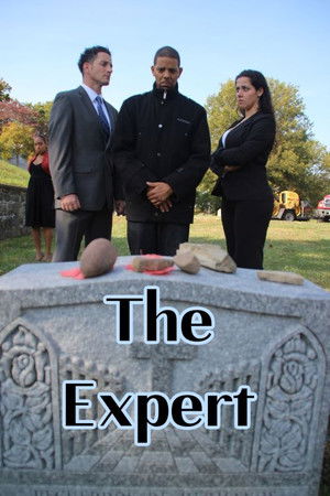 The Expert The Expert