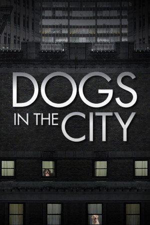 Dogs In The City Dogs In The City