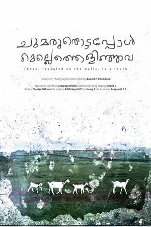 Those, revealed on the walls, in a touch Those, revealed on the walls, in a touch