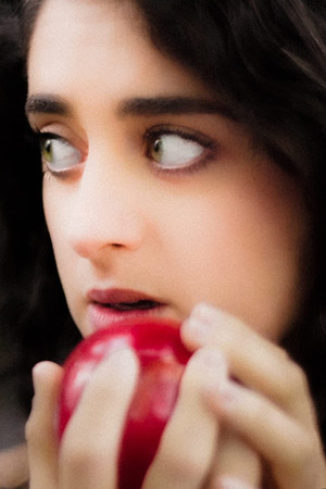 The Fall of Man The Fall of Man