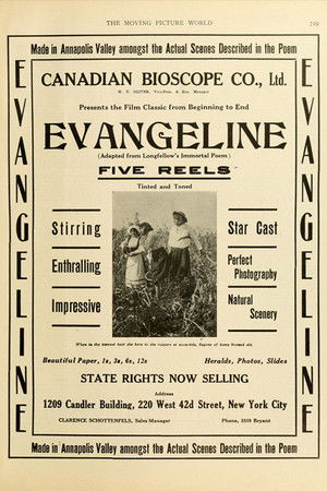 Evangeline Evangeline