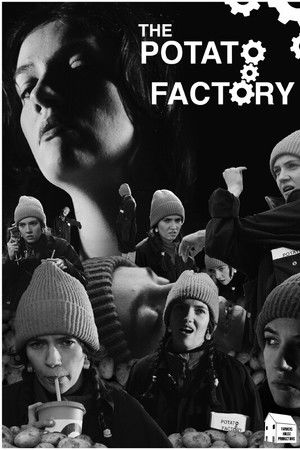 The Potato Factory The Potato Factory