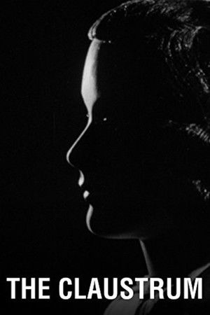 The Claustrum The Claustrum