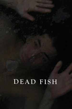 Dead Fish Dead Fish