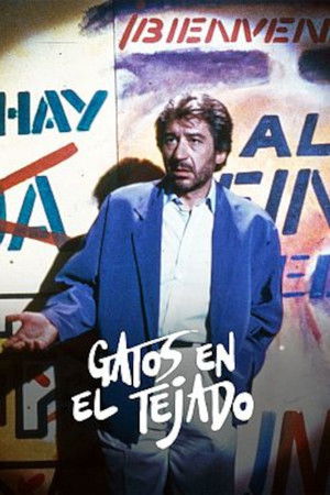 Gatos en el Tejado Gatos en el Tejado