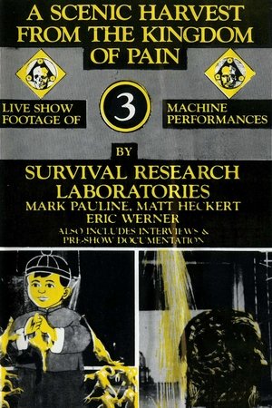 A Scenic Harvest from the Kingdom of Pain A Scenic Harvest from the Kingdom of Pain