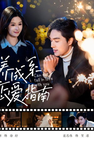 养成系恋爱指南