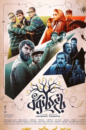 Kianoush's Garden Kianoush's Garden