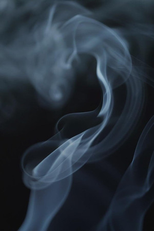 The Cannabis Question The Cannabis Question