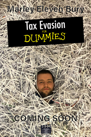 Tax Evasion for Dummies