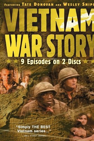 Vietnam War Story