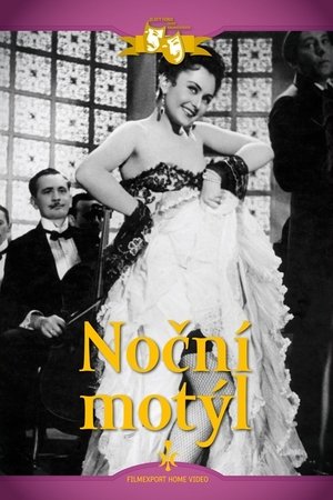 Nocturnal Butterfly Nocturnal Butterfly