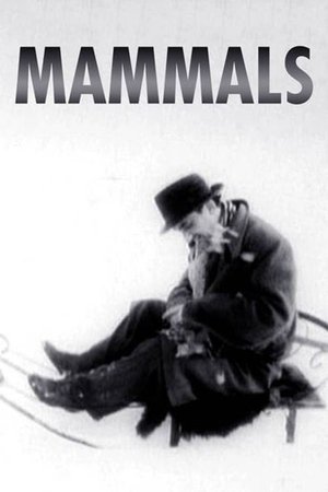 Mammals Mammals