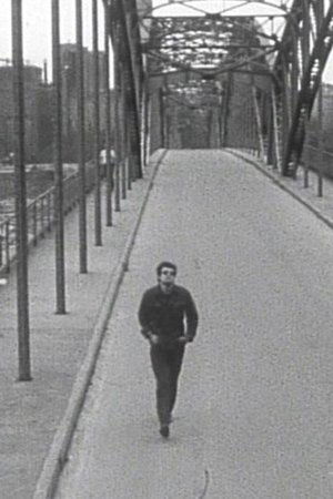 3000 Houses 3000 Houses