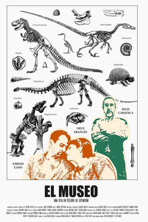 The Museum The Museum