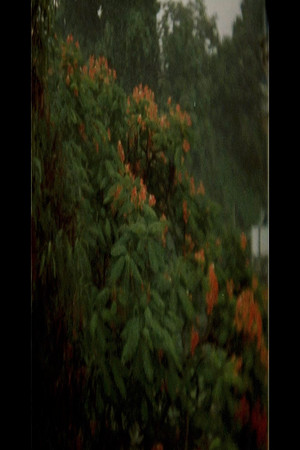 A Fortress A Fortress