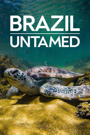 Brazil Untamed Brazil Untamed
