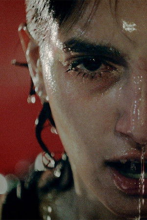 Domesticated Domesticated