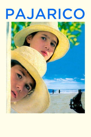 Little Bird Little Bird