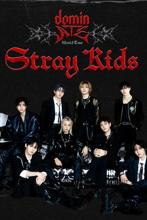 Beyond Live — Stray Kids World Tour dominATE in SEOUL Beyond Live — Stray Kids World Tour dominATE in SEOUL