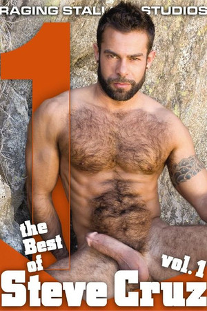 The Best of Steve Cruz The Best of Steve Cruz