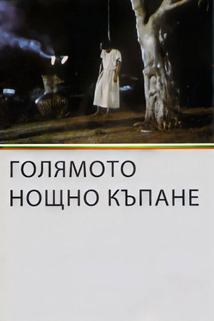 The Big Night Bathe The Big Night Bathe