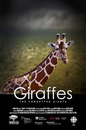 Giraffes: The Forgotten Giants Giraffes: The Forgotten Giants
