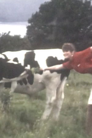 Visibility: Moderate Visibility: Moderate