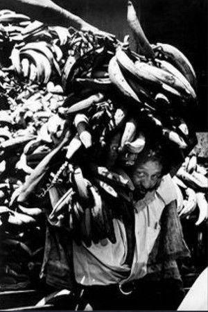 Costa Rica Banana Republic Costa Rica Banana Republic