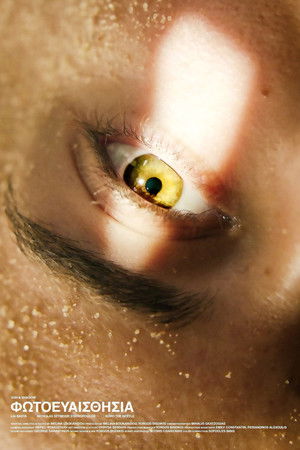 Sun And Shadow Sun And Shadow