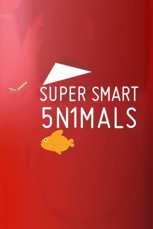 Super Smart Animals Super Smart Animals