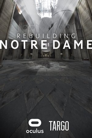 Rebuilding Notre Dame Rebuilding Notre Dame
